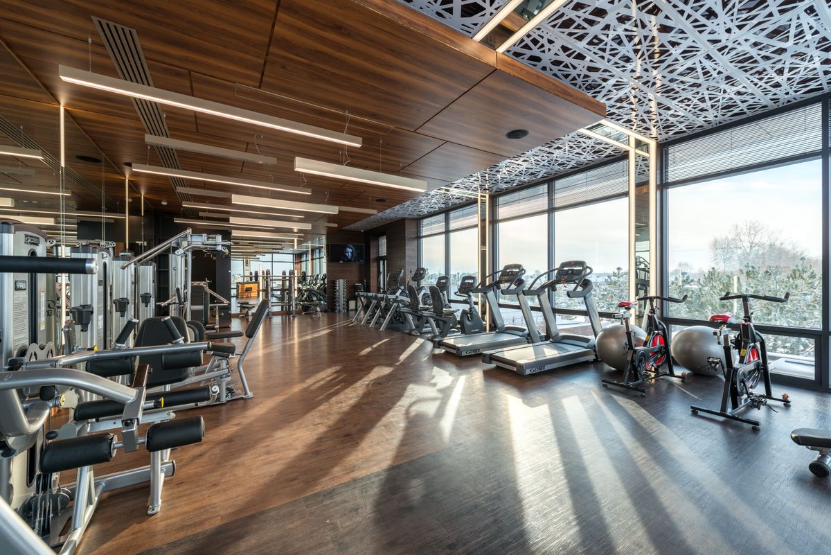 Full Body vs Split: Which Workout Structure Actually Wins