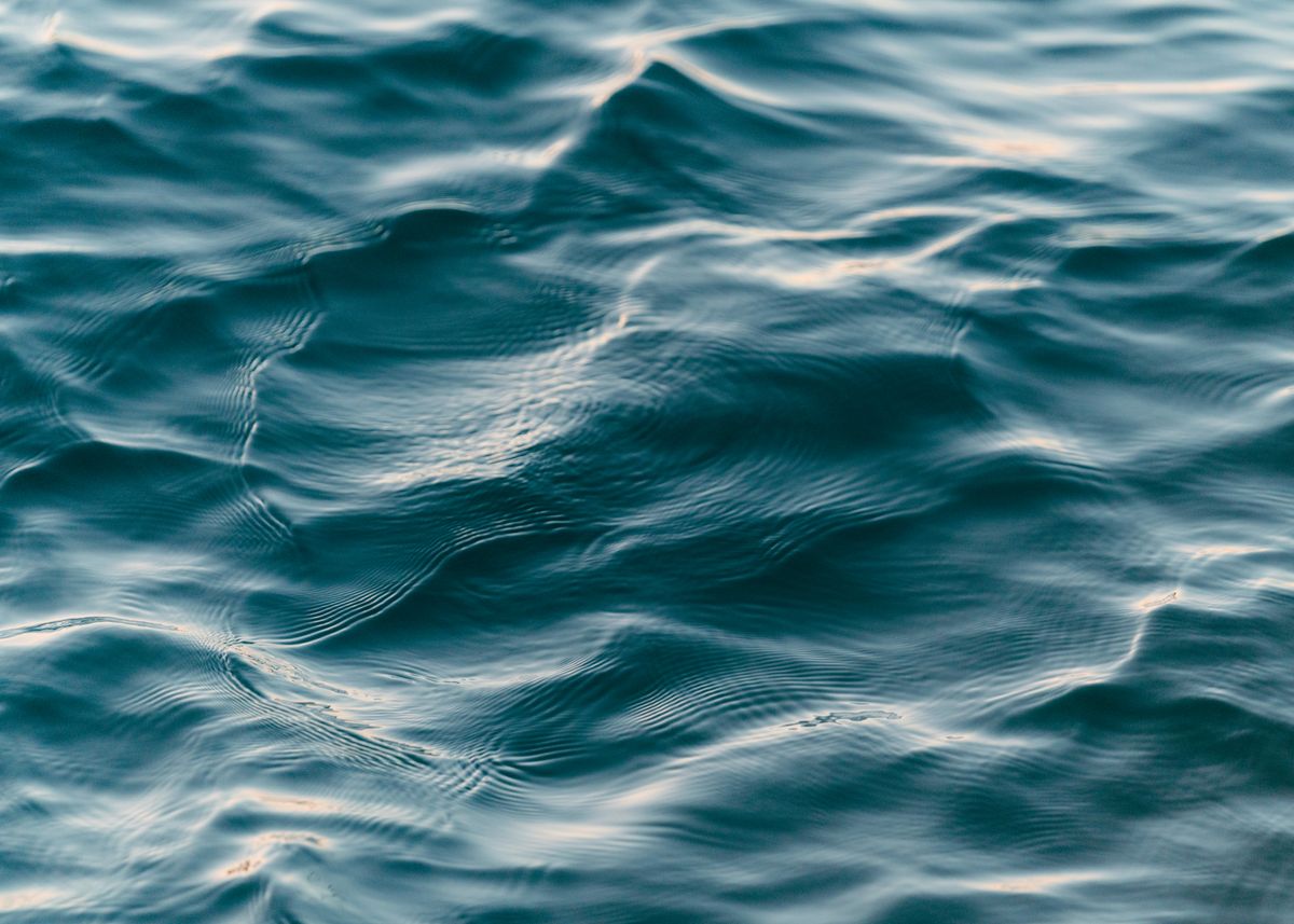 The cold water surface of an ice bath.