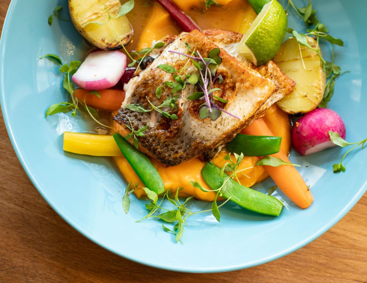 How Much Protein Do You Need? An Honest Guide