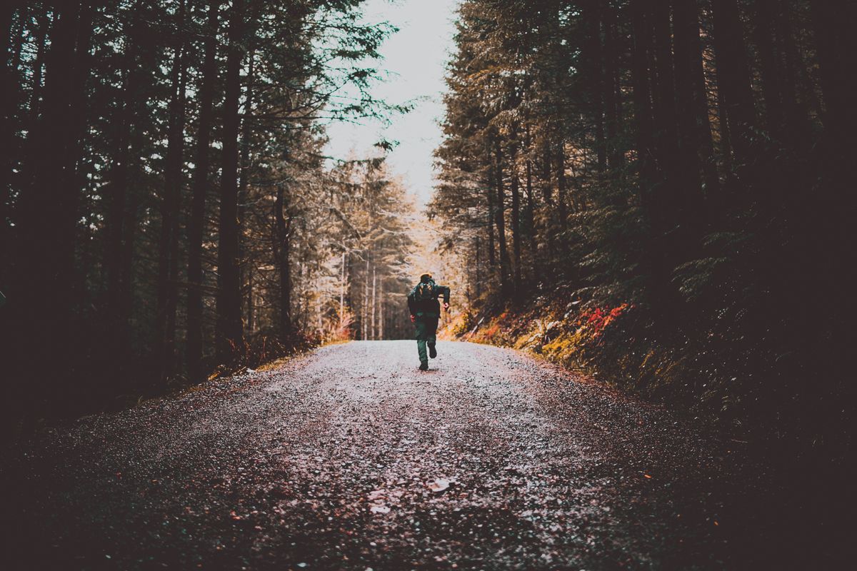 Zone 2 Running: The Boring Training That Builds Everything